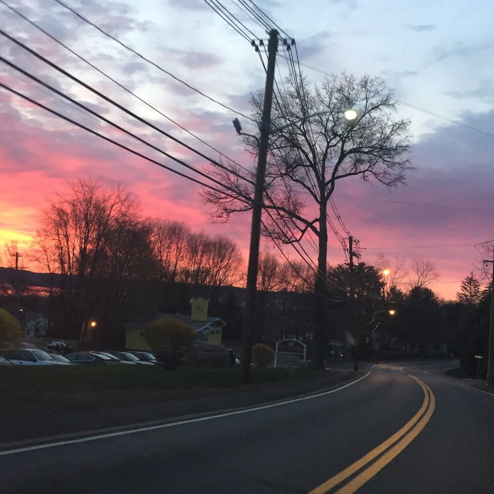 Meet your Posher, Tonianne